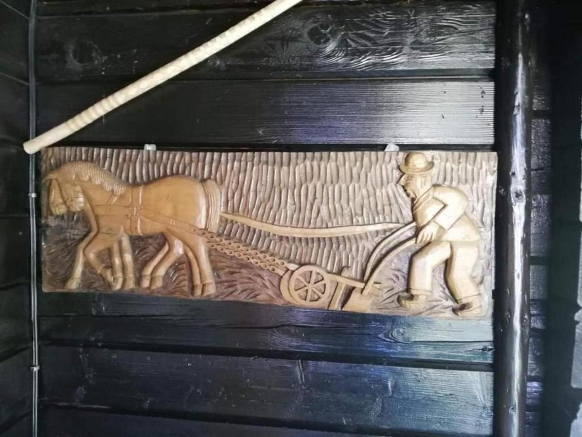 Tetina Kuca Villa Saborsko Kültér fotó